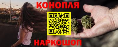 гашик Кунгур
